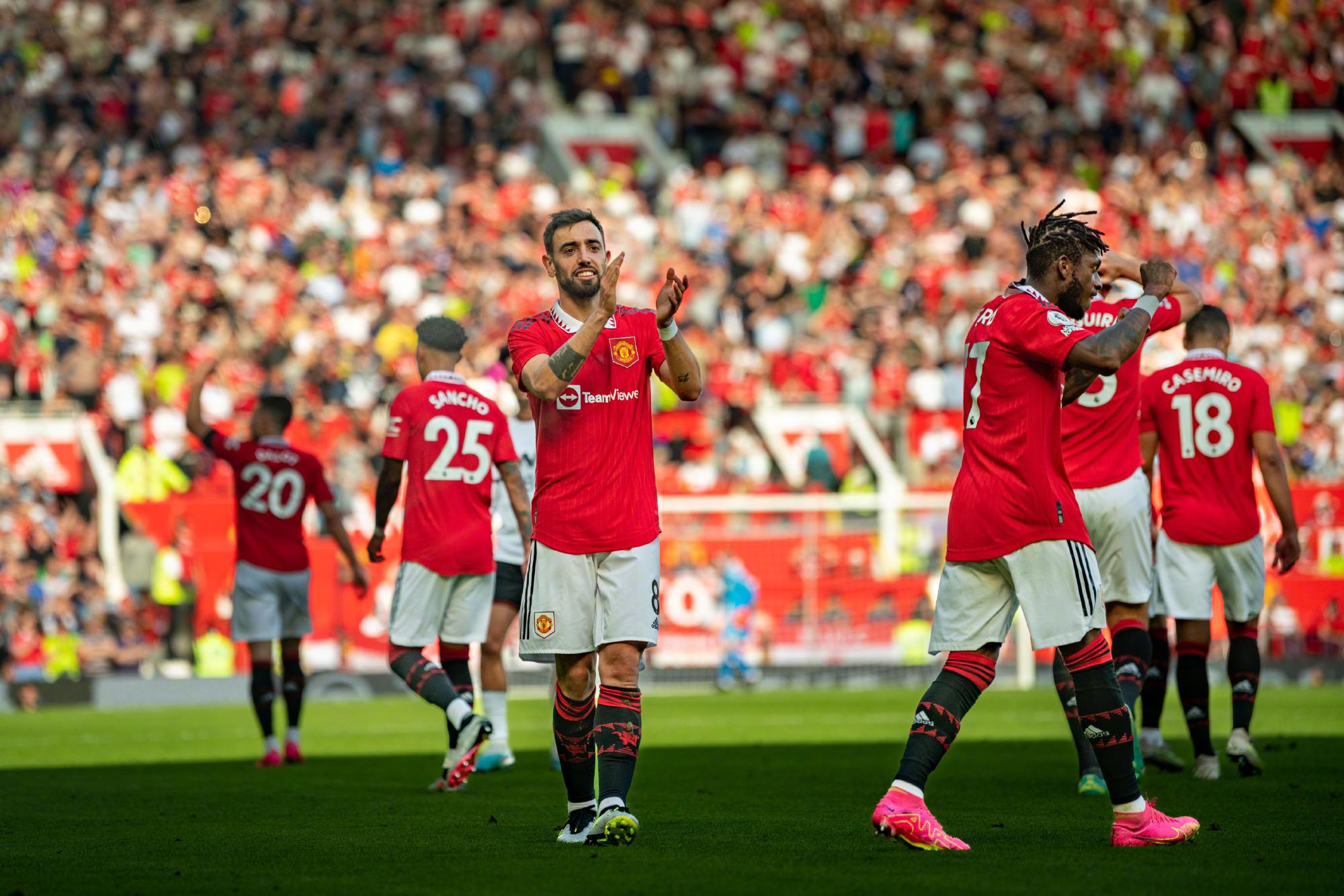 了博洛尼亚 了博洛尼亚