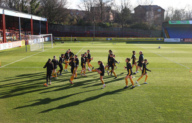 它不仅反映 它不仅反映